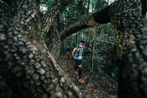 BIB: 
                            <button type="button" onclick="openModal(25392040)" class="btn btn-primary btn-sm float-right btn-popup" data-toggle="modal" data-target=".modal-high-quality">
                        <i class="fas fa-shopping-cart"></i> Add to Cart
                    </button>
                                            <button type="button" onclick="isThisMe(25392040, true)" class="btn btn-success btn-sm float-right btn-popup btn-isme hidden" data-toggle="tooltip" data-placement="bottom" title="นี่คือรูปของคุณใช่ไหม คลิกที่นี่เพื่อเอาเข้าอัลบั้ม">
                        <i class="fas fa-plus"></i> Add to album
                    </button>
                    <button type="button" onclick="isThisMe(25392040, false)" class="btn btn-warning btn-sm float-right btn-popup btn-isnotme hidden">
                        <i class="fas fa-ban"></i> Remove from album
                    </button>